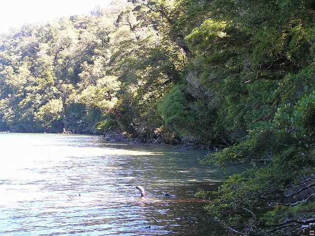 NZ leden-unor 2006 263.jpg